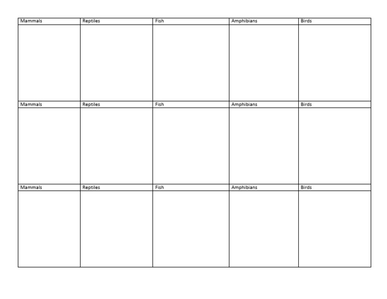 Chart Vertebrates PDF