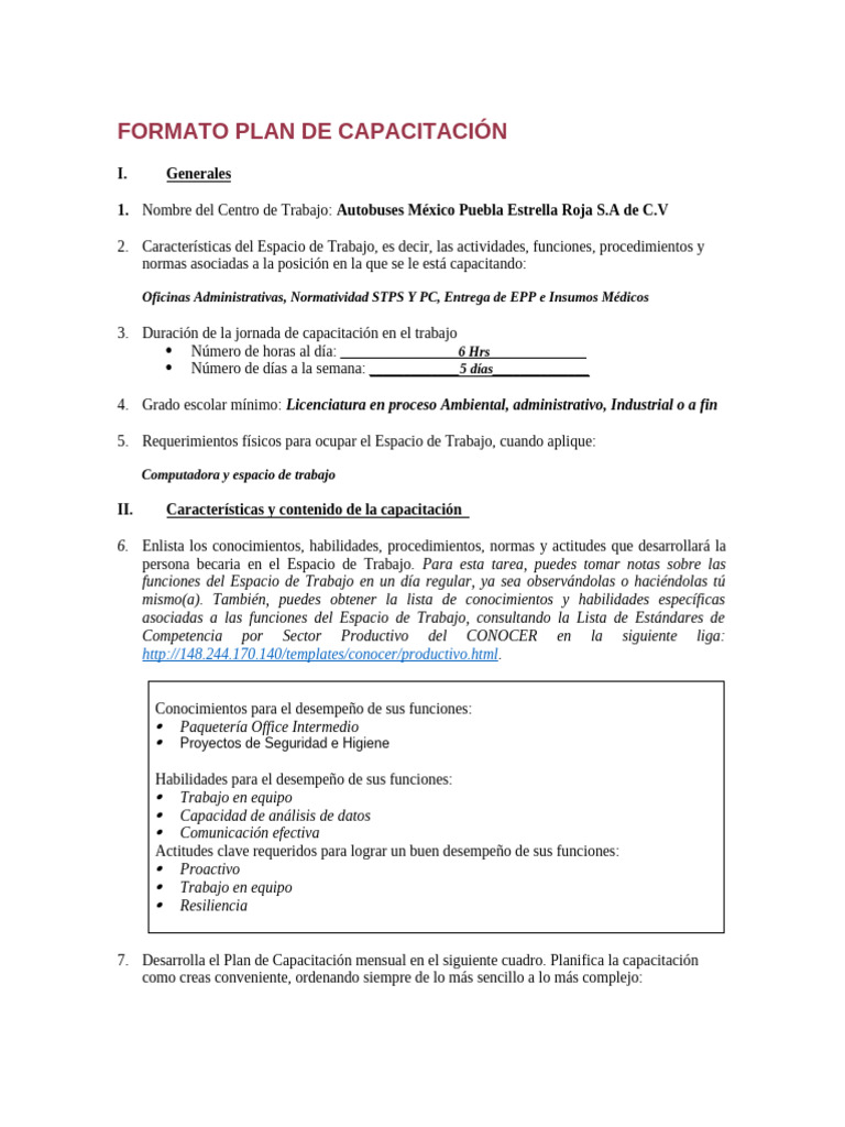Plan de Capacitación | PDF | Auditoría | Planificación