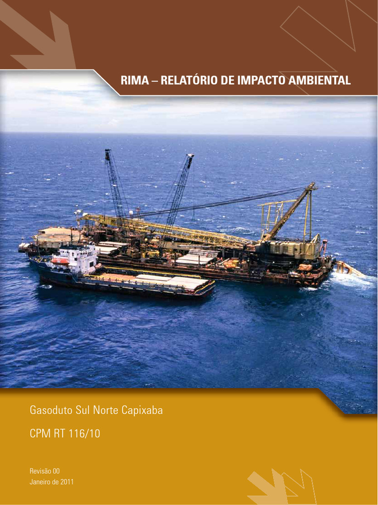 RIMA Gasoduto Sul Norte Capixaba | PDF | Gás natural | Ferimento