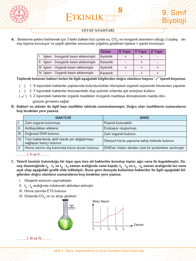 Sınıf Biyoloji Biyoloji: Cevap Anahtari | PDF