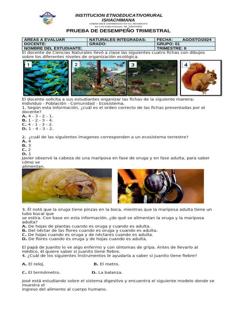 Prueba de Desempeño en Ciencias Naturales | PDF | Alimentos