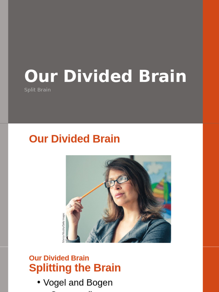 Understanding Split Brain Functionality | PDF
