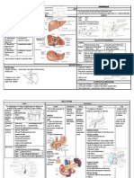 Liver &amp Pancreas