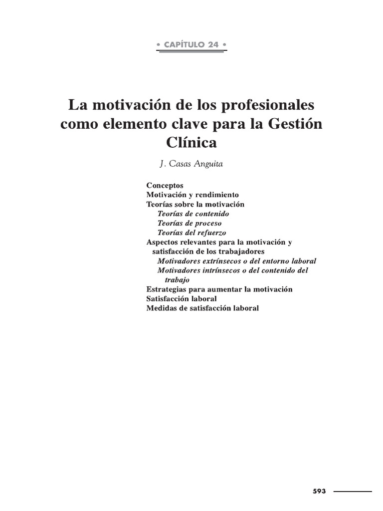 Motivación de Los Profesionales en La Gestión | PDF