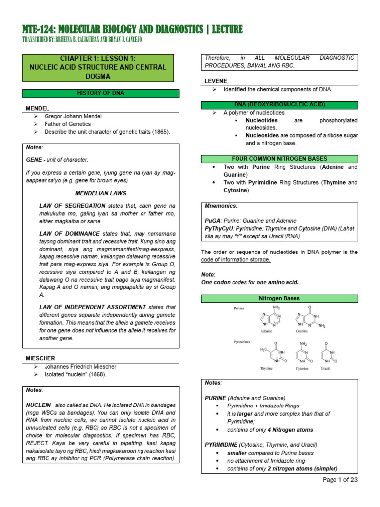DNA Structure and Function Overview | PDF | Dna | Rna