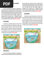 Ciencias - Aula Ciclo Da Materia e o Fluxo de Energia - 4 Ano | PDF ...