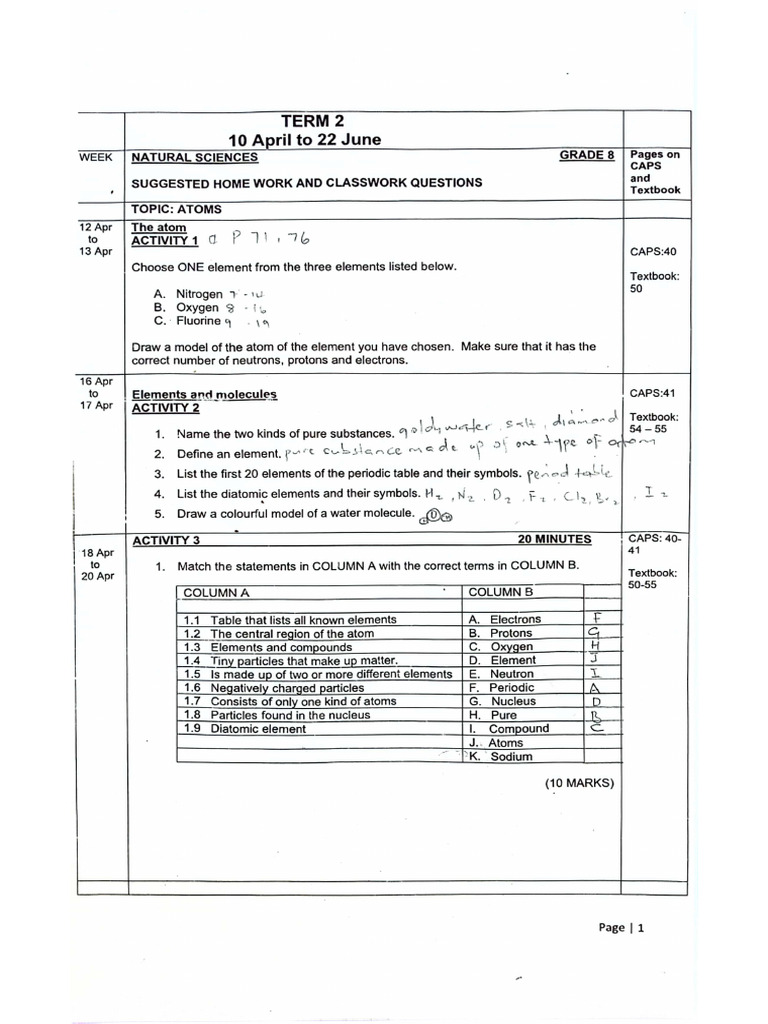 Class 8 Ns Activities | PDF