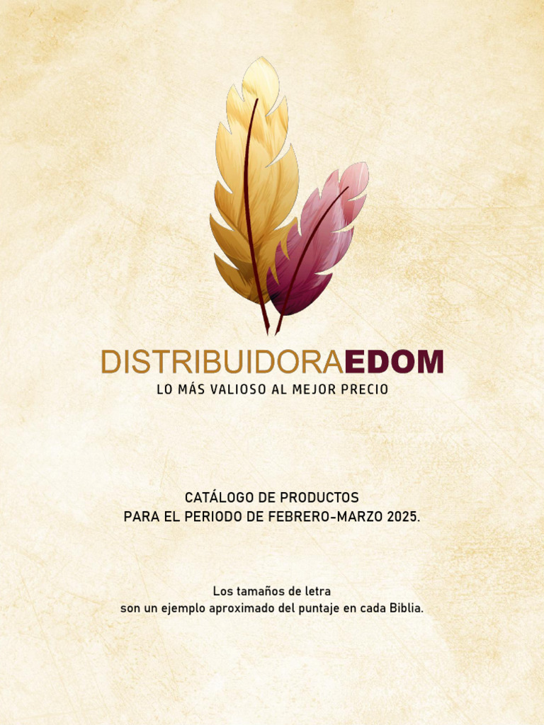 CBFM-DIS | PDF | Hojas de estilo en cascada | Color