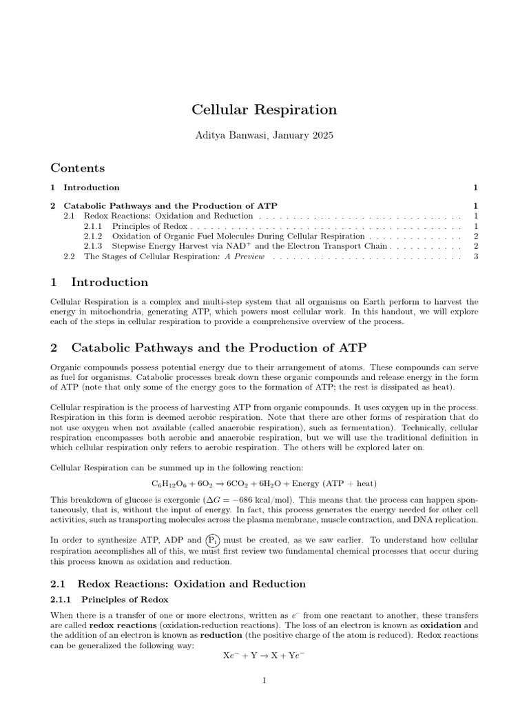 Redox Reactions in Cellular Respiration | PDF | Cellular Respiration ...