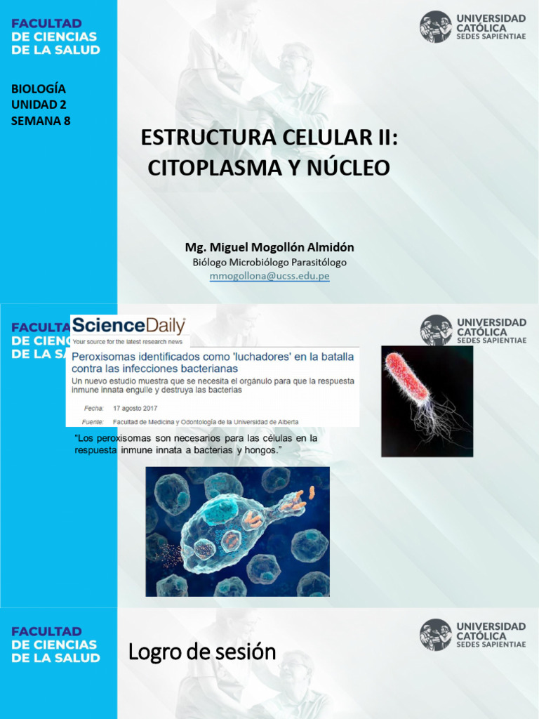 Citoplasma y Núcleo: Funciones Celulares | PDF | Biología Celular ...
