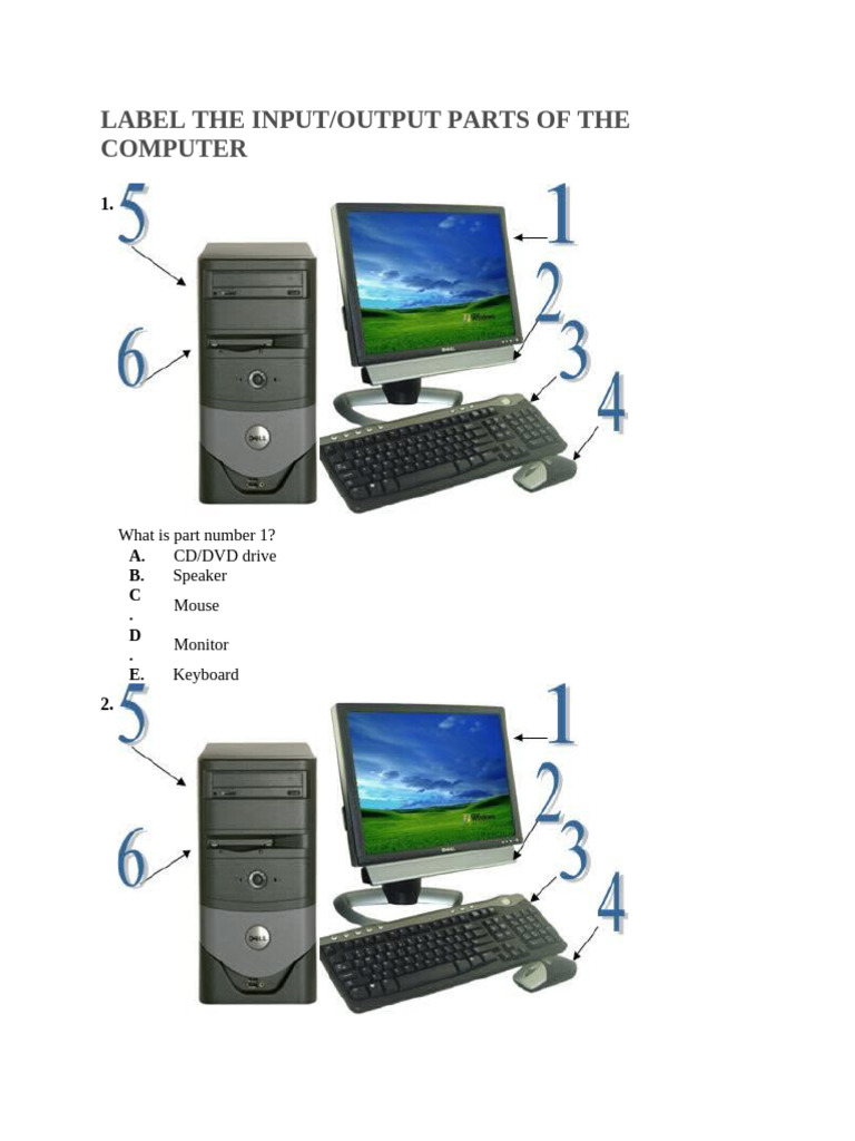 Label Input and Output Parts of The PC | PDF