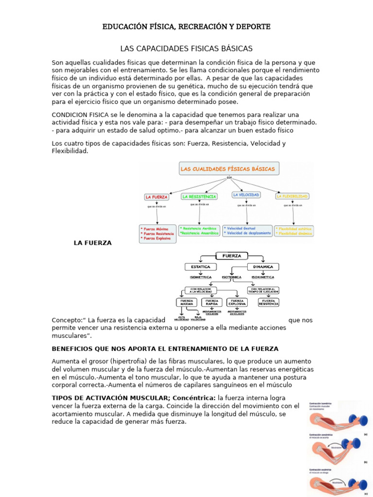 Capacidades Físicas Básicas en Deportes | PDF | Resistencia ...