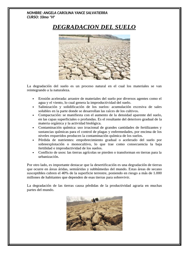 Causas de la Degradación del Suelo | PDF | Suelo | Degradación ambiental