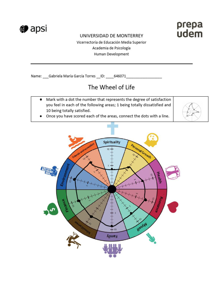 Wheel of Life Satisfaction Assessment | PDF