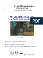 7.merveilleusement Gris