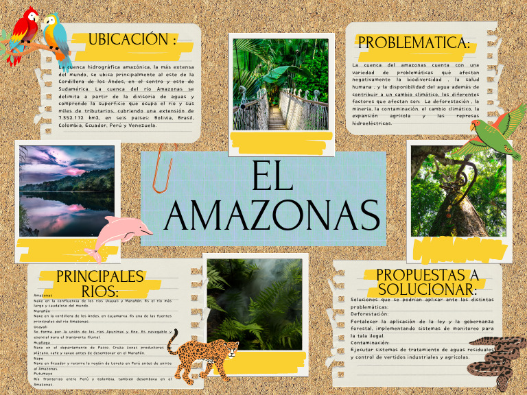 Infografía sobre el río Amazonas | PDF | río Amazonas | Río