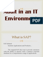 Audit in An IT Environment