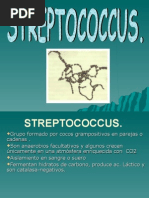 Download Streptococcus by HarimTorres SN8614719 doc pdf