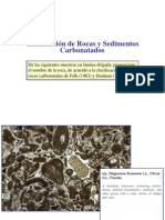 Ejercicio - Clasificación Carbonatada - Rocas y Sedimentos