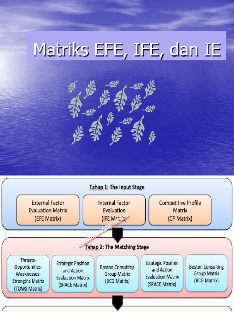Evaluasi Matriks IFE dan EFE | PDF