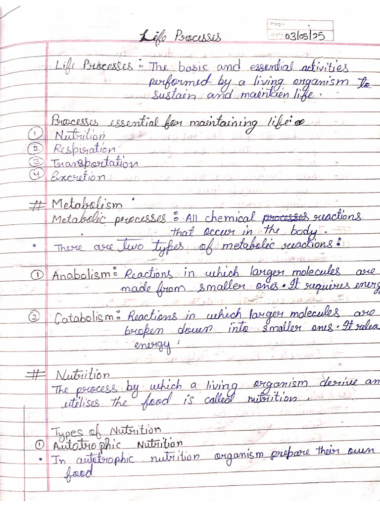Intro To Life Process | PDF
