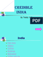 Incredible India: by Teddy Y4E