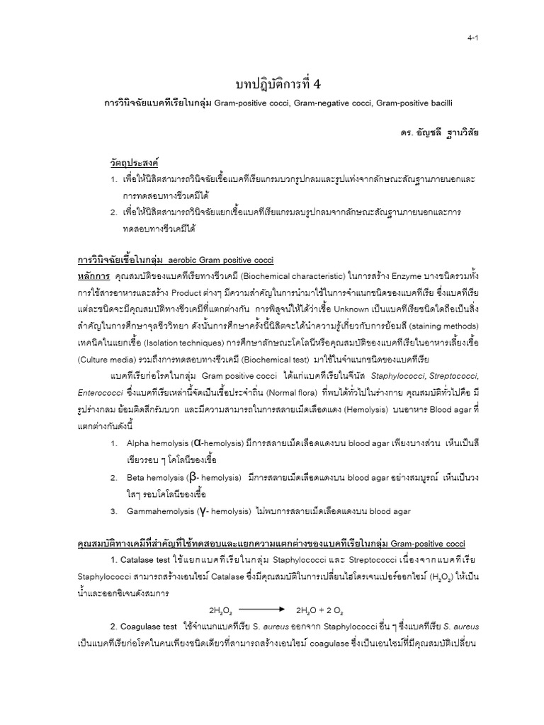 Lab 4 Text | PDF