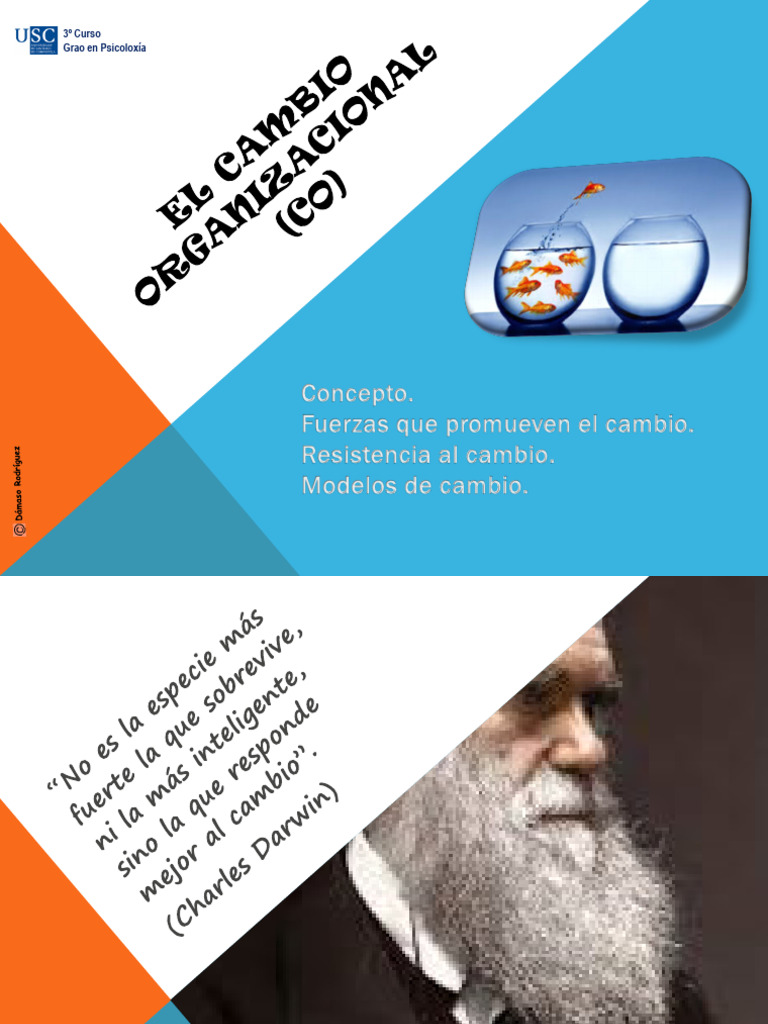 Estrategias de Cambio Organizacional | PDF | Liderazgo | Cultura ...