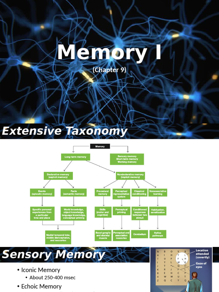 Lecture 9 Memory 1 25-09-24 | PDF | Memory | Recall (Memory)