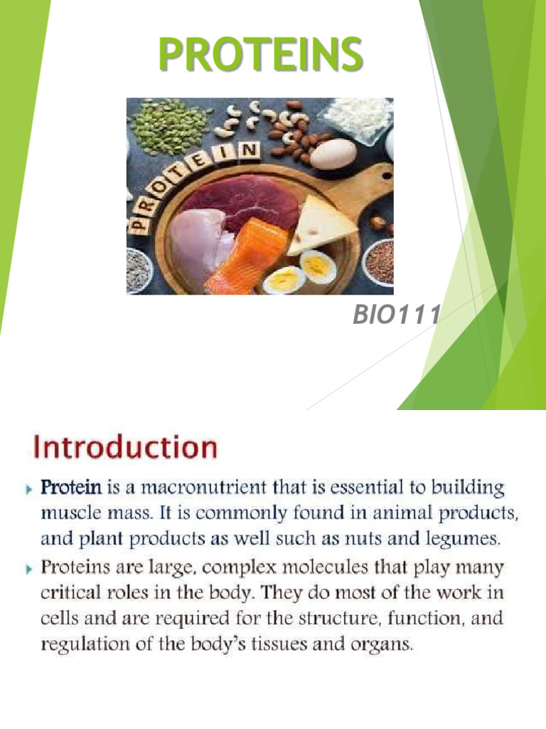 BIO111 - Proteins A | PDF