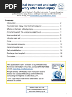 Caring For Yourself After Head Injury Acc NZ | PDF