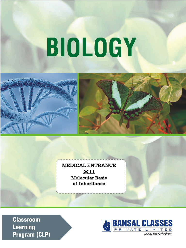 Chap-28_Molecular Basis of Inheritance (33)_E | PDF | Rna | Dna