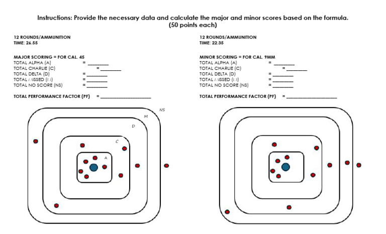 Marksmanship Scoring | PDF