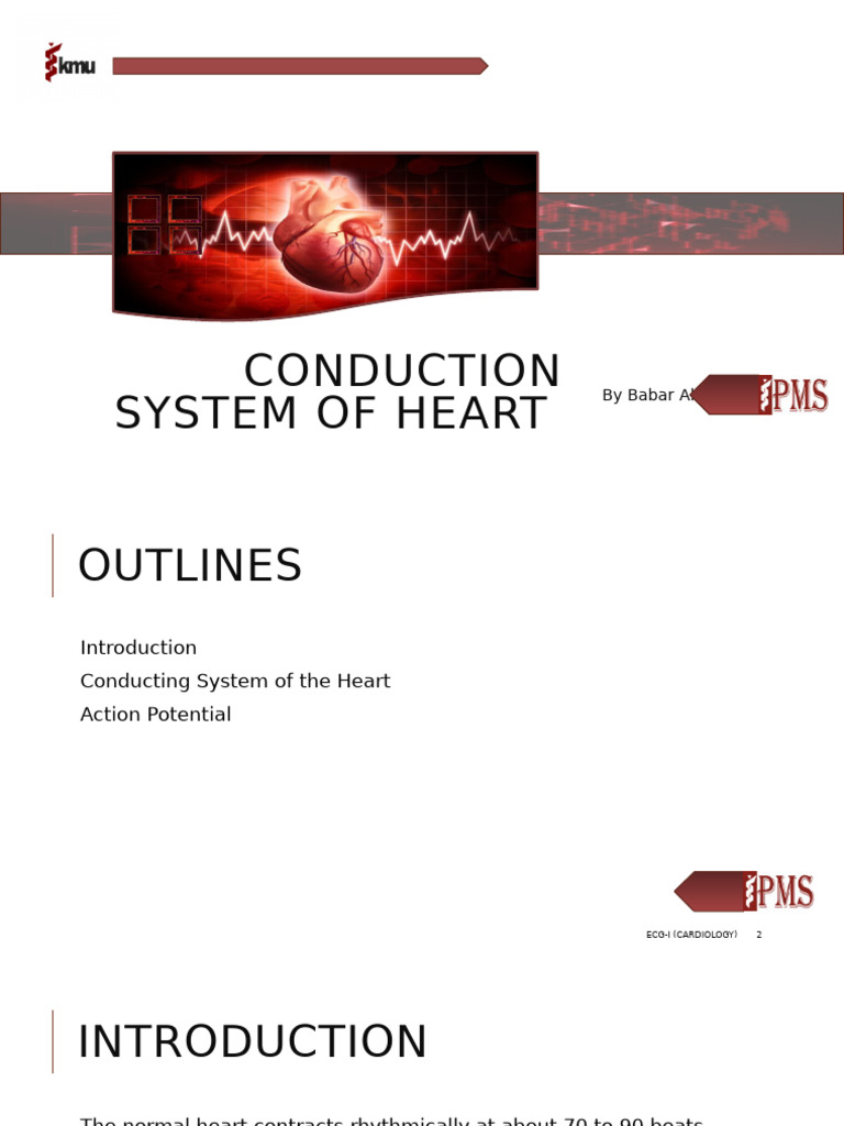 2E. Conduction Syestem of Heart | PDF | Atrium (Heart) | Heart