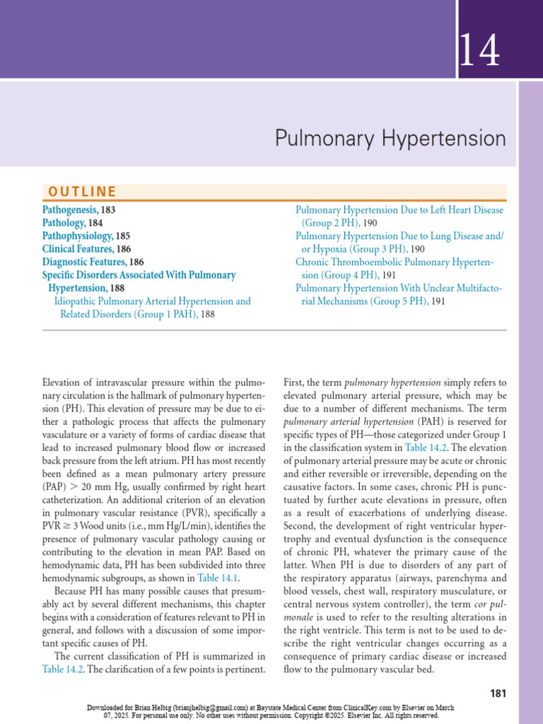 14 Pulmonary Hypertension | PDF | Blood Vessel | Heart