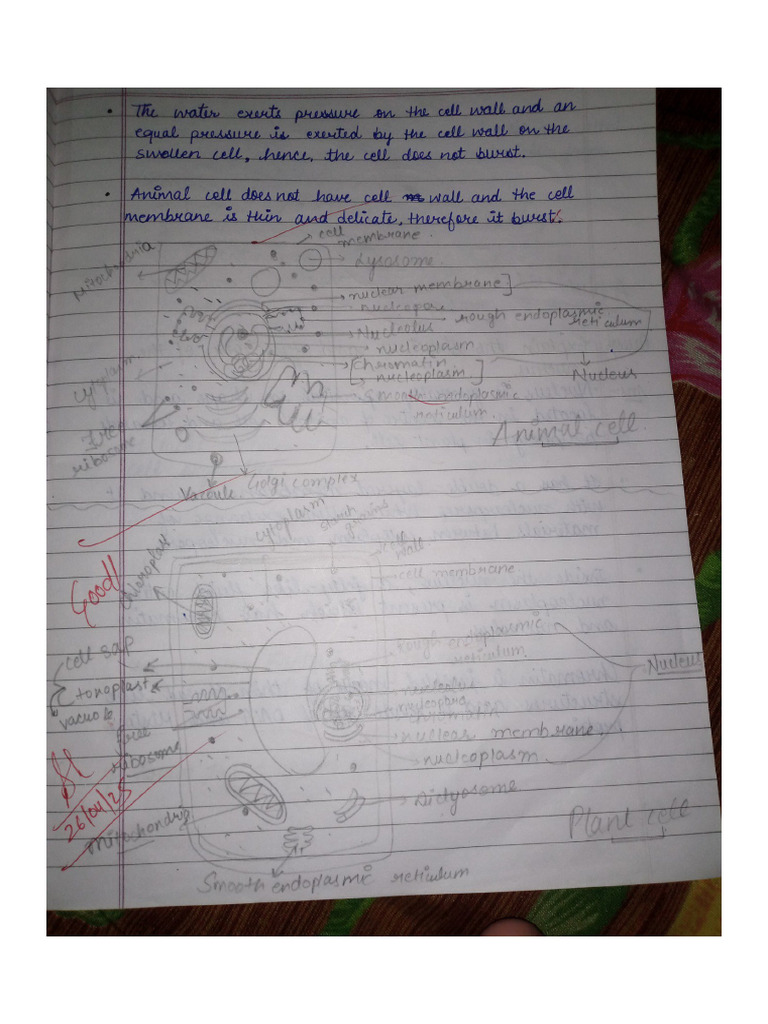 Biology Chapter 1 Pdf Pdf