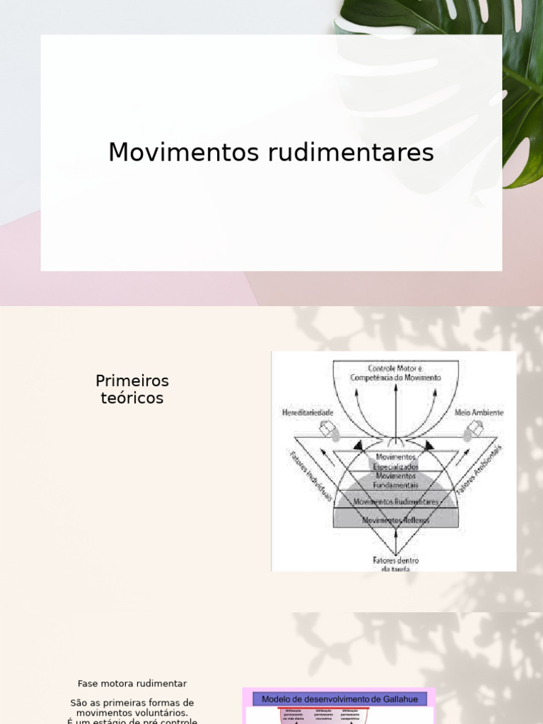 Movimentos Rudimentares | PDF | Aprendizado | Neuroplasticidade