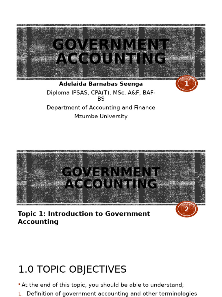 Introduction to Government Accounting | PDF | Taxes | Expense