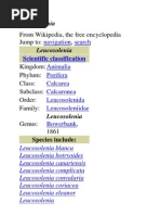 Download Leucosolenia by Suci Agustiani SN86162679 doc pdf