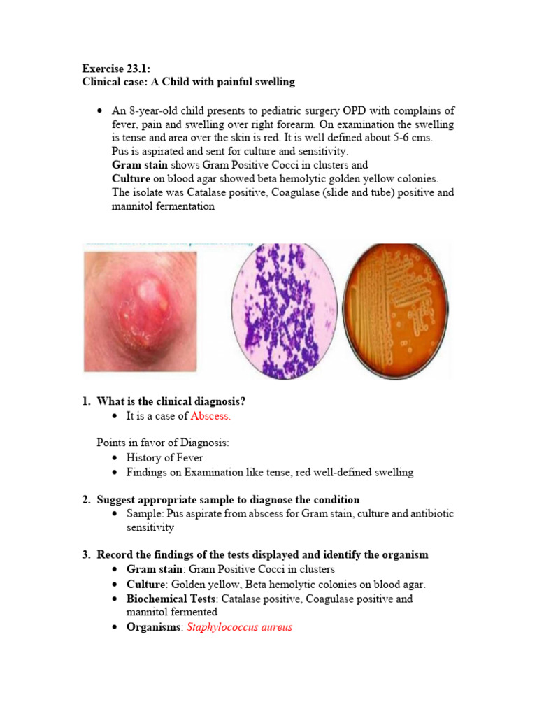Diagnosis and Treatment of Skin Infections | PDF | Staphylococcus ...