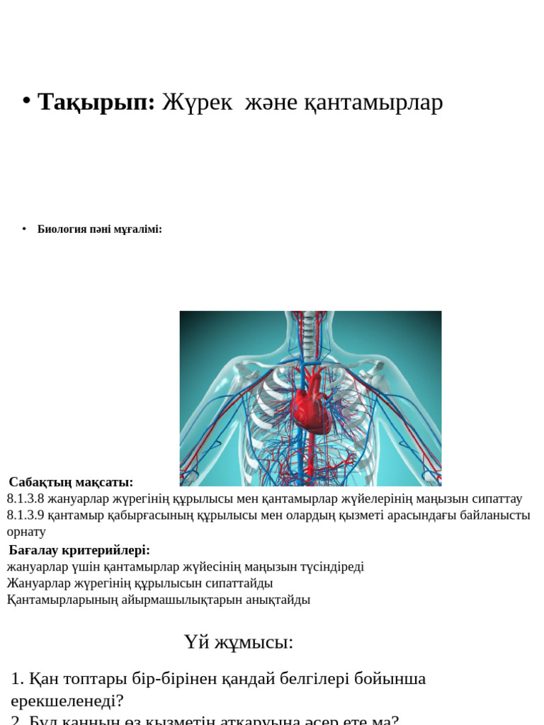 Фильмде әйелі ұйықтап жатқанда мулат әйелді трахает ететін күйеу бейнеленген.