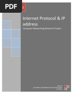 Internet Protocol & IP Address