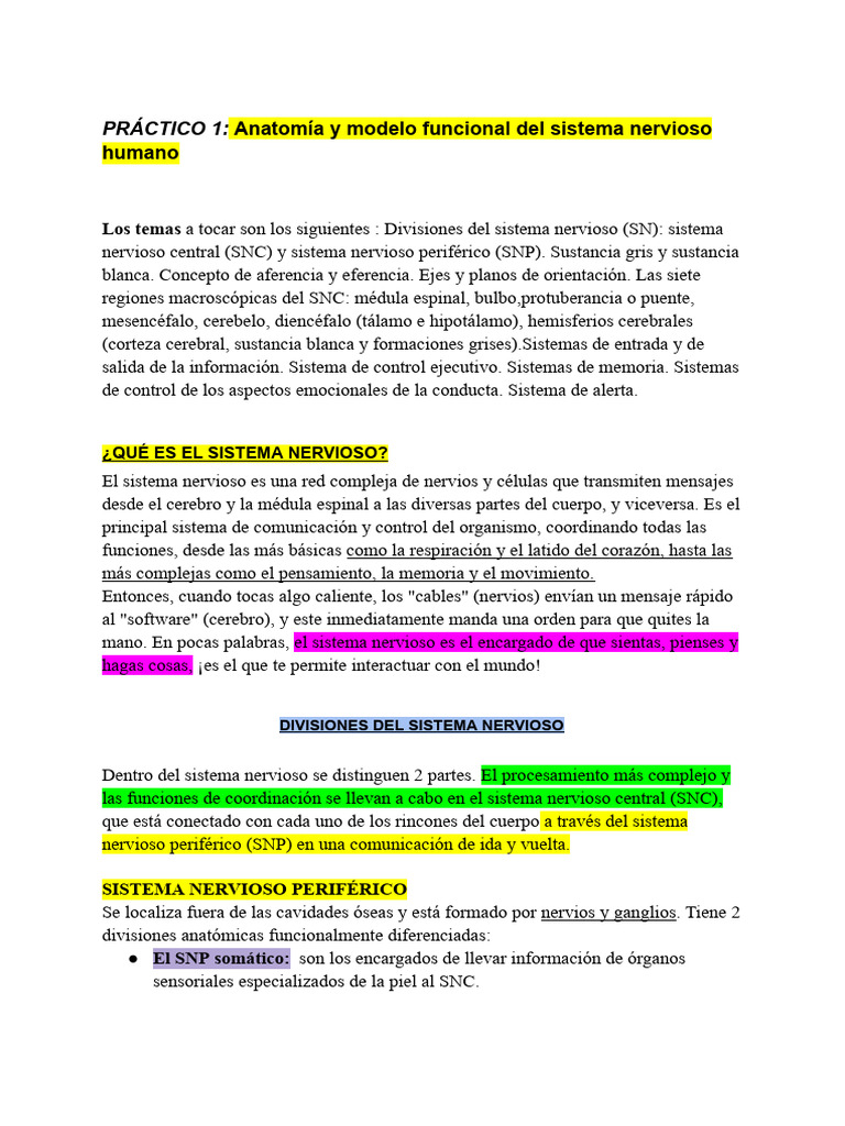Resumen 1 Neuro | PDF | Cerebro | Neurona