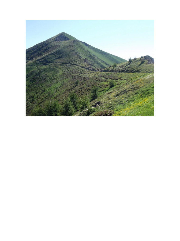 Monte | PDF