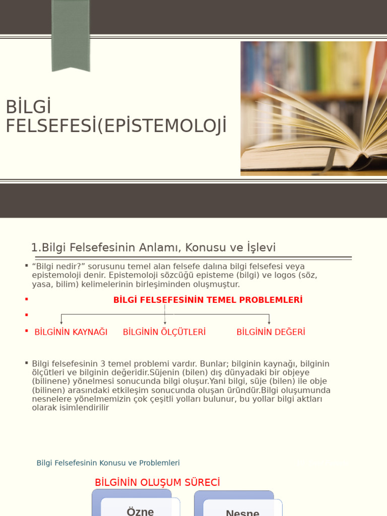 Bilgi Felsefesi | PDF
