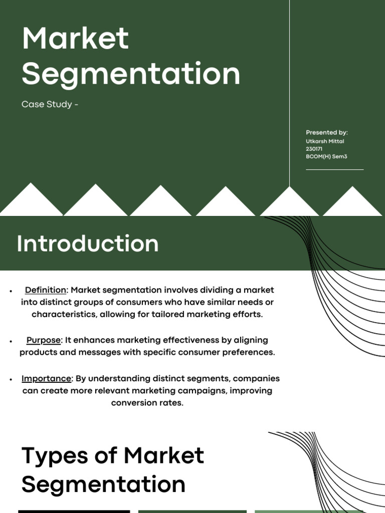 Market Segmentation | PDF | Market Segmentation | Target Audience