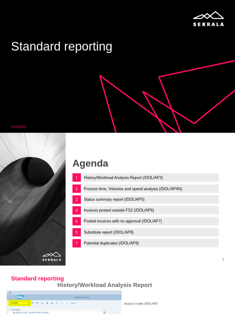Standard Reporting Process Overview | PDF