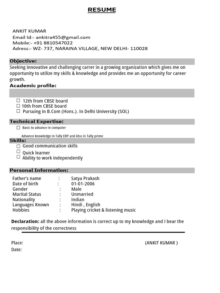 Ankit Kumar Resume Overview | PDF