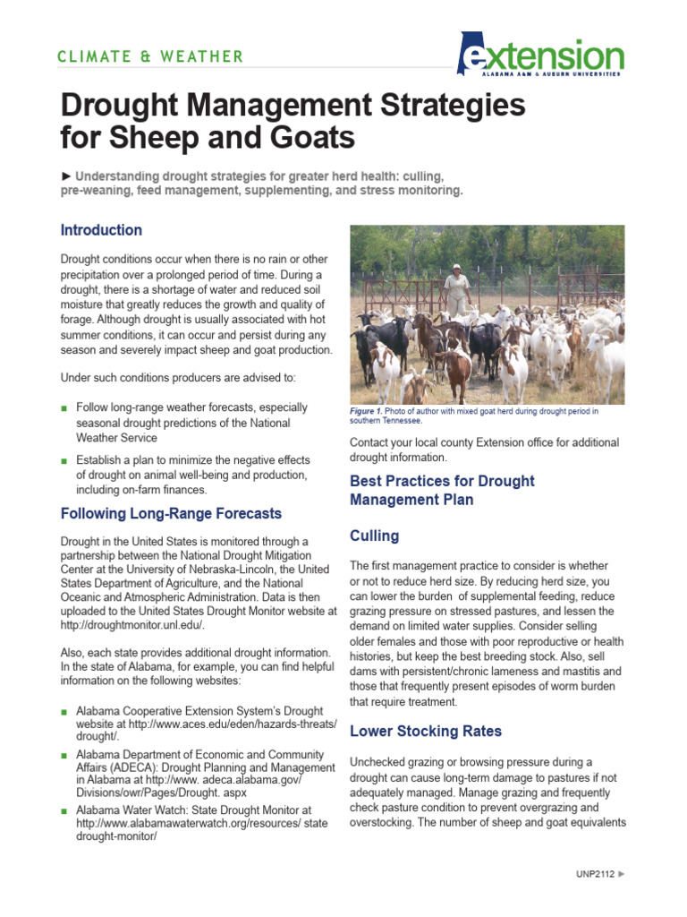 Drought Management for Sheep & Goats | PDF | Sheep | Drought
