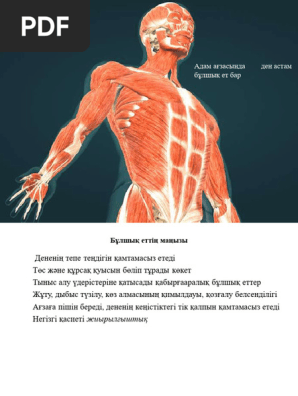 Винницадағы интимдік қызметтер: байланыстар